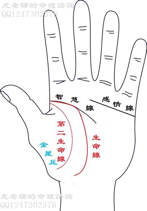 生命線下面多一條|多數人只有一條生命線，解密兩條生命線代表什麼？